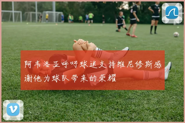 阿韦洛亚呼吁球迷支持维尼修斯感谢他为球队带来的荣耀