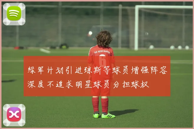 绿军计划引进琼斯等球员增强阵容深度不追求明星球员分担球权